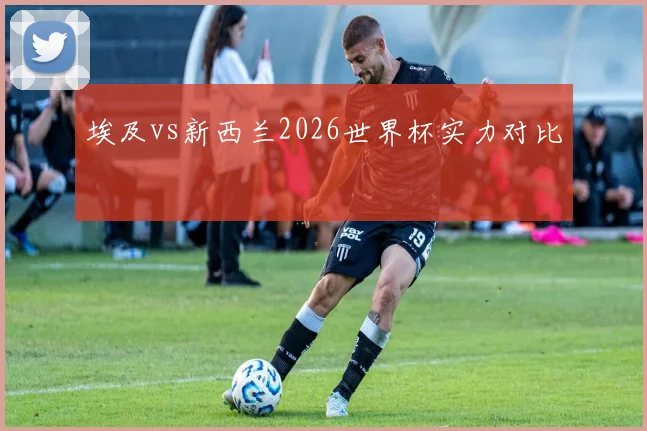 埃及vs新西兰2026世界杯实力对比