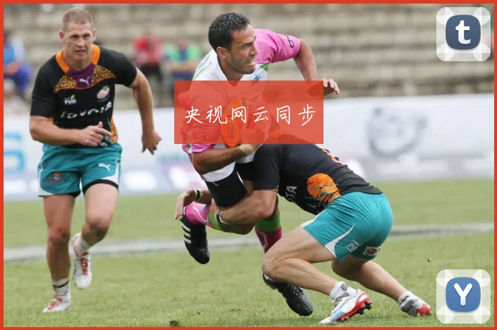 央视网云同步