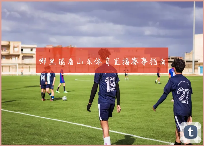 哪里能看山东体育直播赛事指南