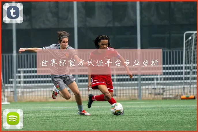 世界杯官方认证平台专业分析