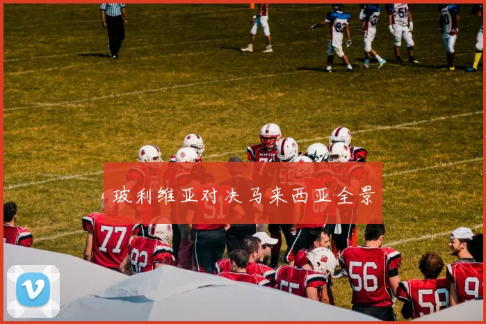 玻利维亚对决马来西亚全景