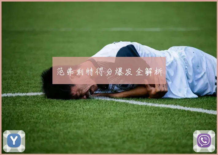 范弗利特得分爆发全解析