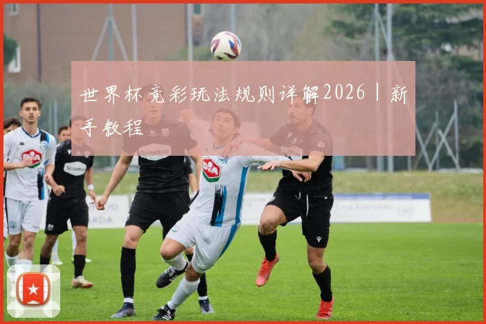 世界杯竞彩玩法规则详解2026｜新手教程