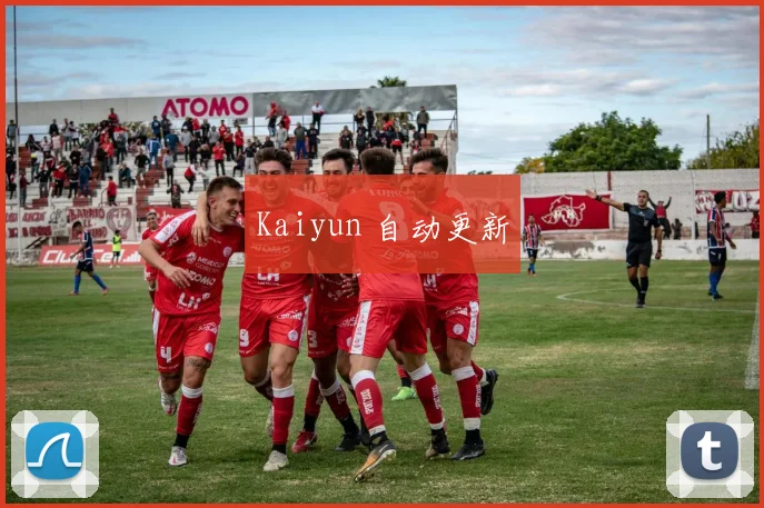 Kaiyun 自动更新