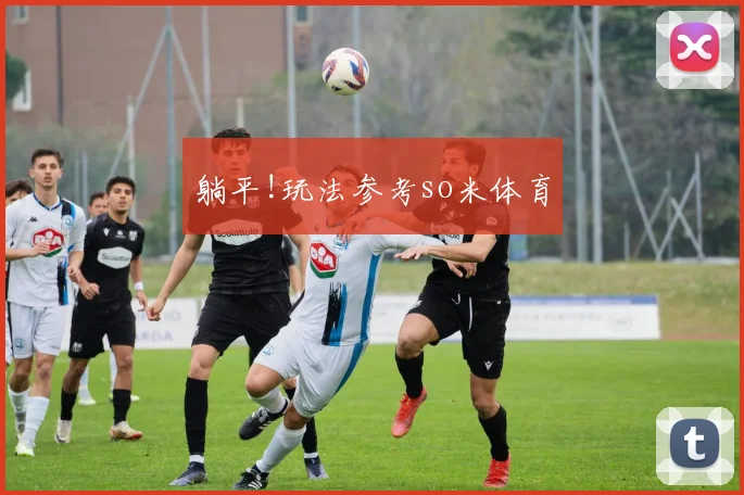 躺平!玩法参考so米体育
