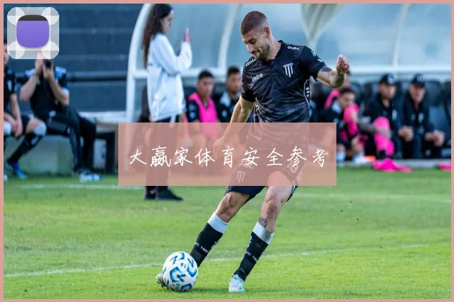 大嬴家体育安全参考