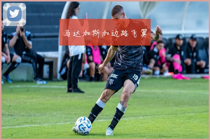 马达加斯加边路飞翼