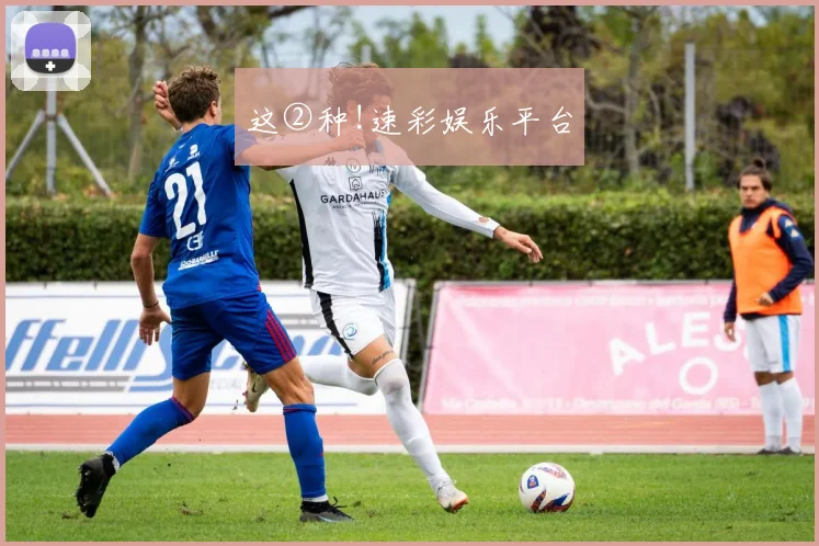 这②种!速彩娱乐平台