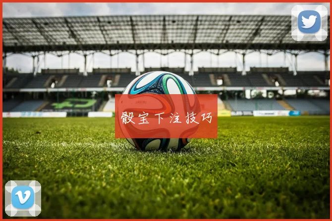 骰宝下注技巧