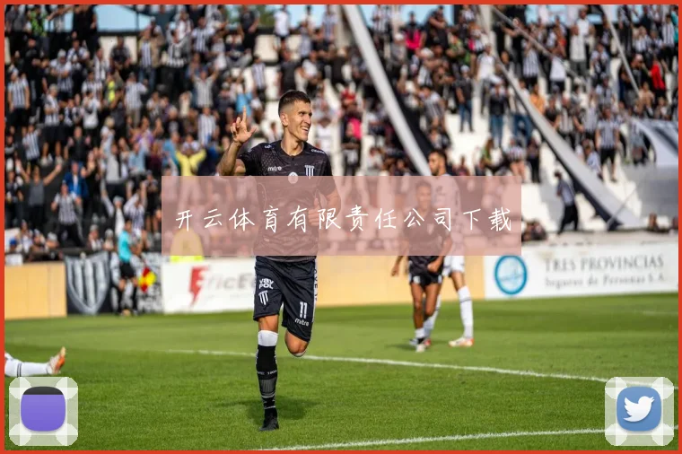 开云体育有限责任公司下载