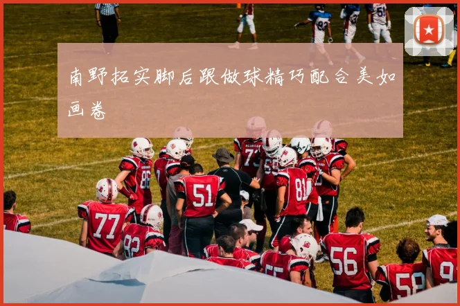 南野拓实脚后跟做球精巧配合美如画卷