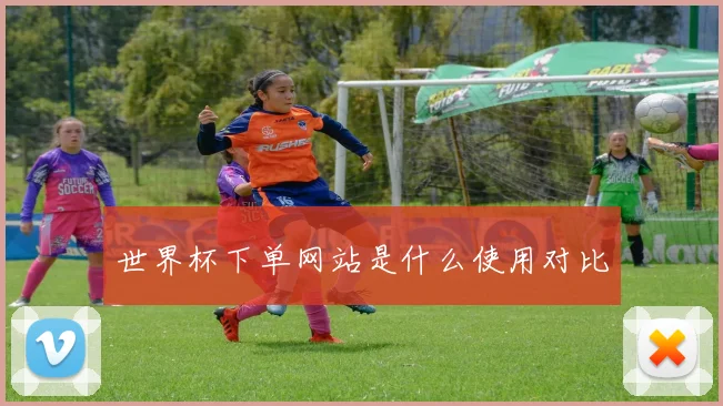 世界杯下单网站是什么使用对比