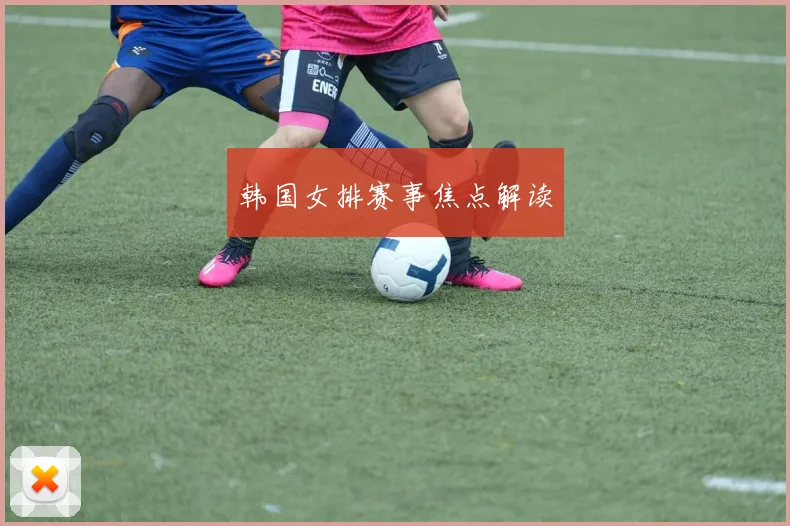 韩国女排赛事焦点解读