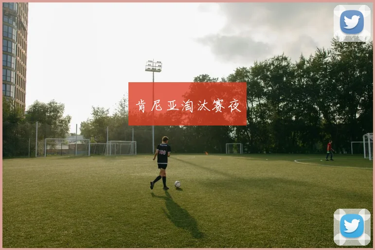 肯尼亚淘汰赛夜