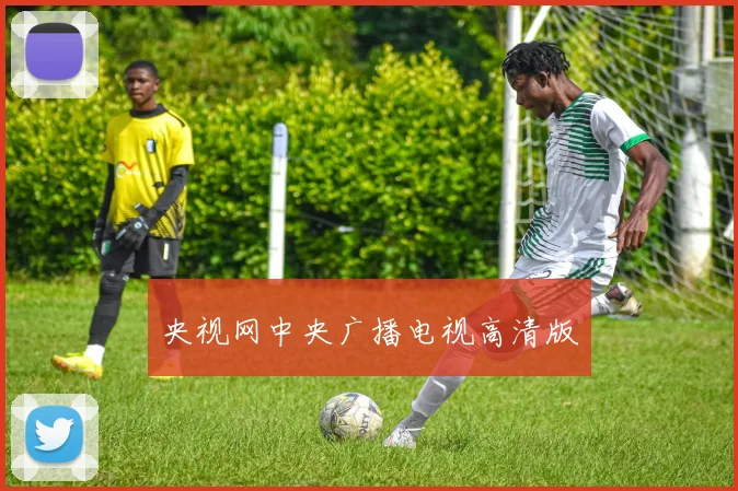 央视网中央广播电视高清版