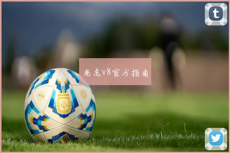 老虎v8官方指南