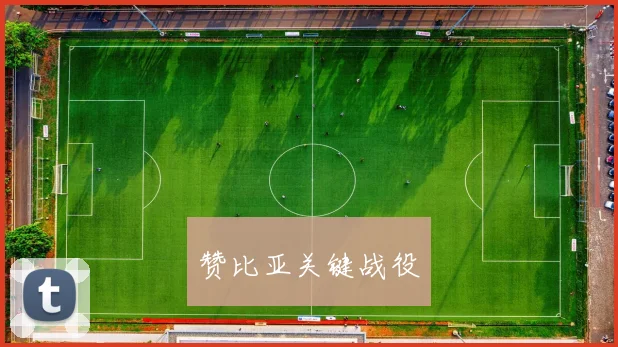 赞比亚关键战役