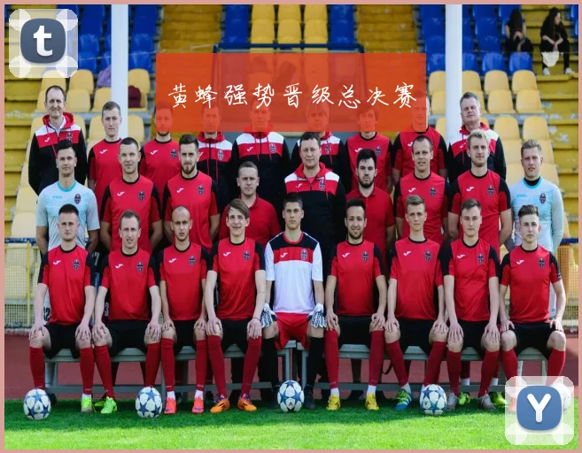 黄蜂强势晋级总决赛