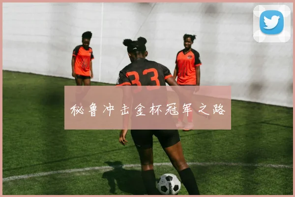 秘鲁冲击金杯冠军之路