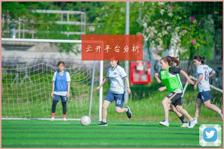 云开平台分析