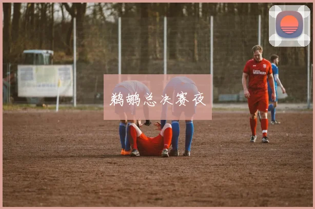 鹈鹕总决赛夜