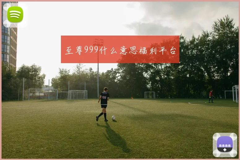 至尊999什么意思福利平台