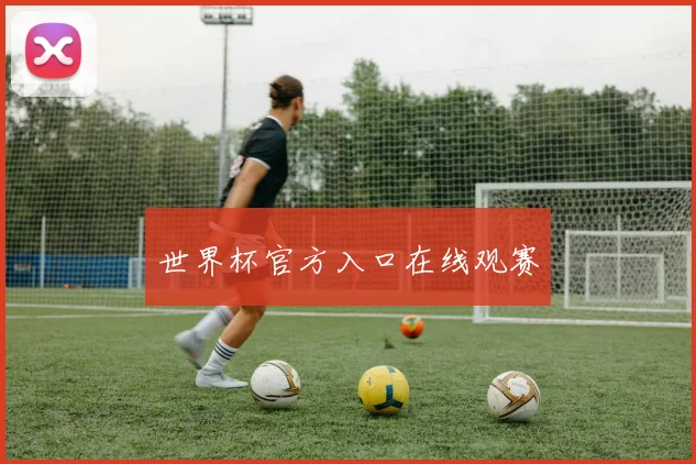 世界杯官方入口在线观赛