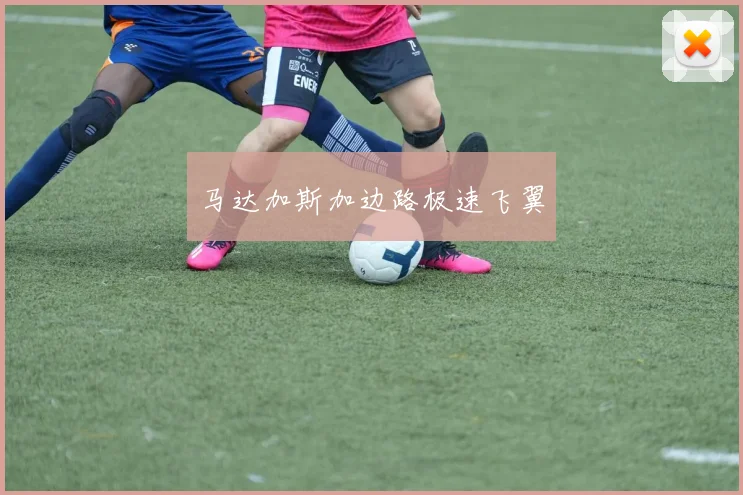 马达加斯加边路极速飞翼