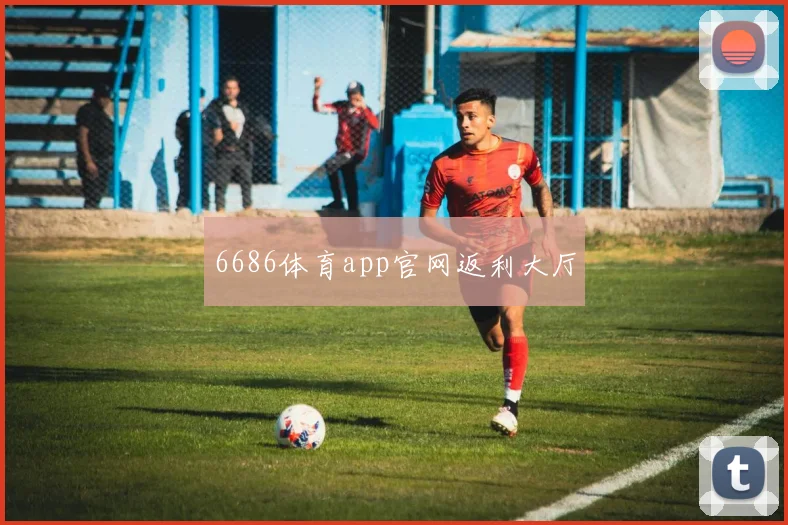 6686体育app官网返利大厅