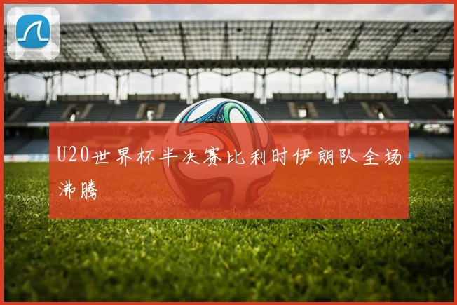 U20世界杯半决赛比利时伊朗队全场沸腾