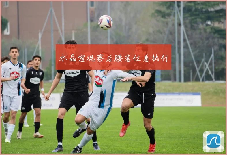 水晶宫观察后腰落位看执行
