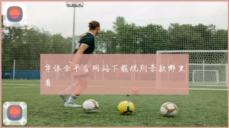 华体会平台网站下载规则条款哪里看